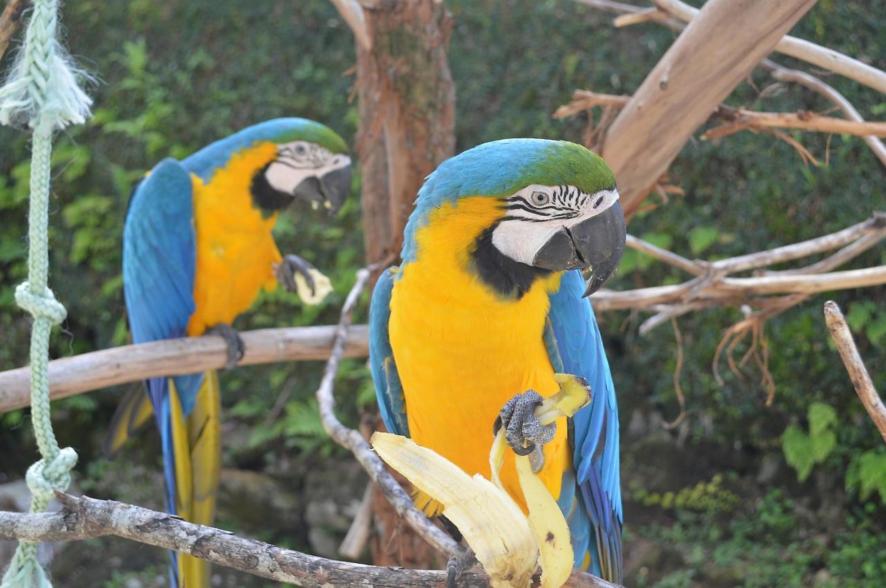 Pousada Tere Parque Teresópolis Eksteriør bilde